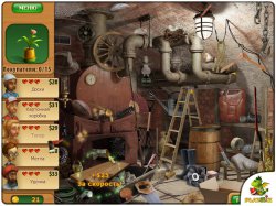 Дивный сад. Академия