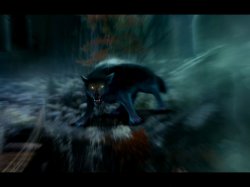 Grim Tales. Наследие