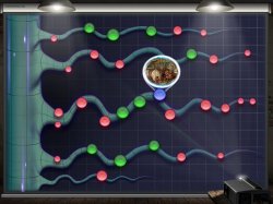 Сприлл и Ричи. Приключения во времени