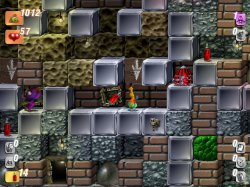 Операция Жук