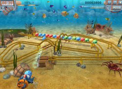 Тайна шести морей