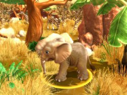 Заповедник в самом сердце Африки